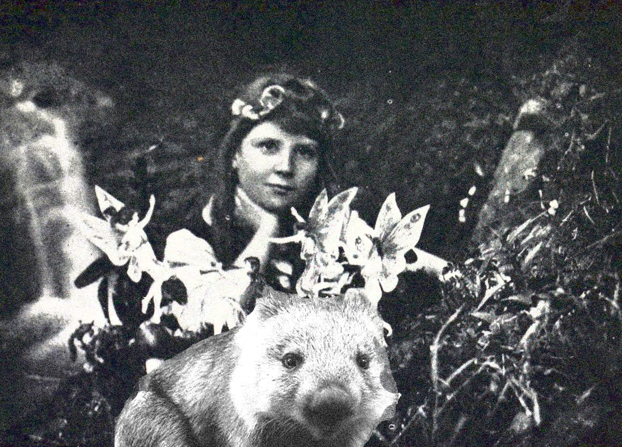 cottingley-wombat