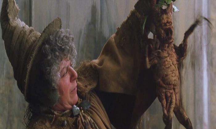 Miriam Margolyes as Professor Sprout in Harry Potter and the Chamber of Secrets