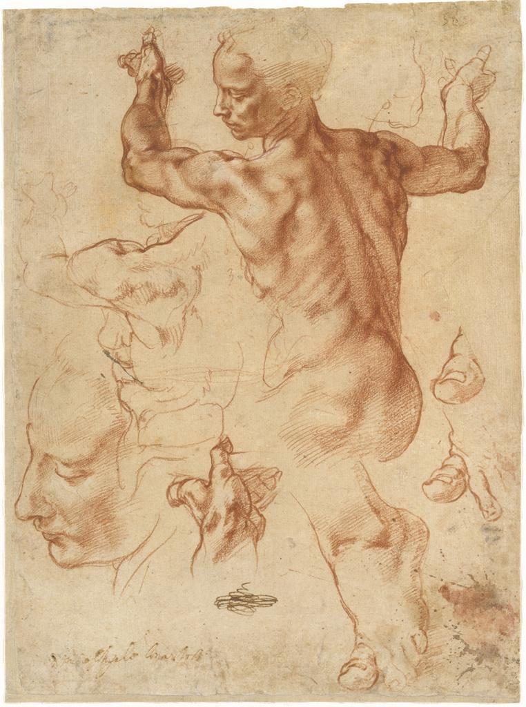 Michelangelo study for the Libyan Sibyl. Sistine Chapel ceiling. 